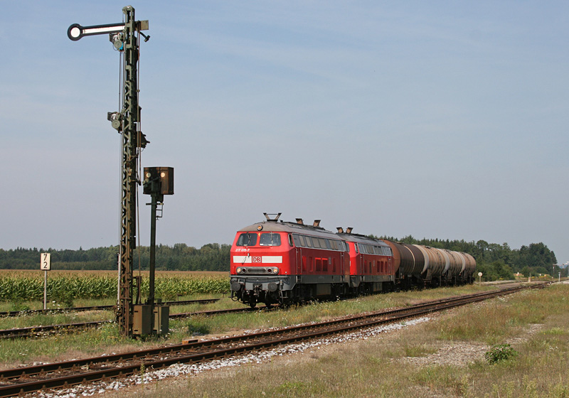 217 015 und 225 002 mit dem 56523 am 25.08.2009 in Tling.