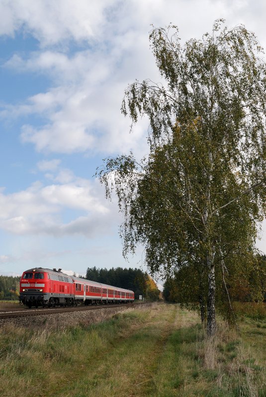 218 239 mit RE 32748 bei Schwabhausen (18.10.2007)