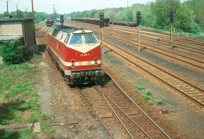 219 016 in Stragrbchen-Bernsdorf