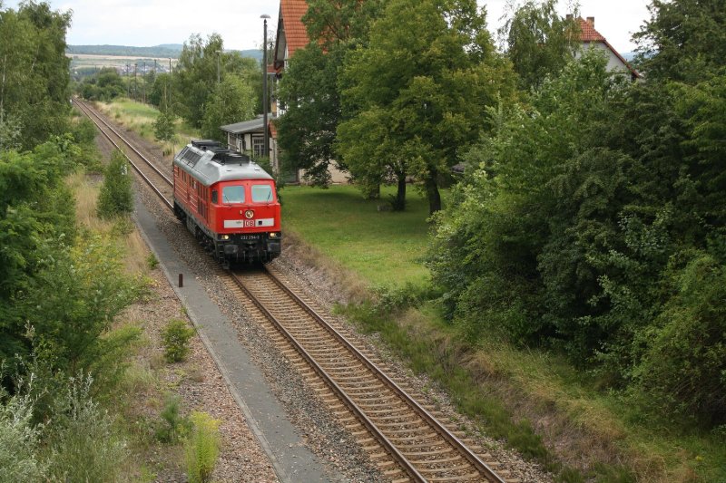 232 254-3 konnte am 30.07.09 in Dankmarshausen als Lz Richtungen Heringen(Werra) gesichtet werden.