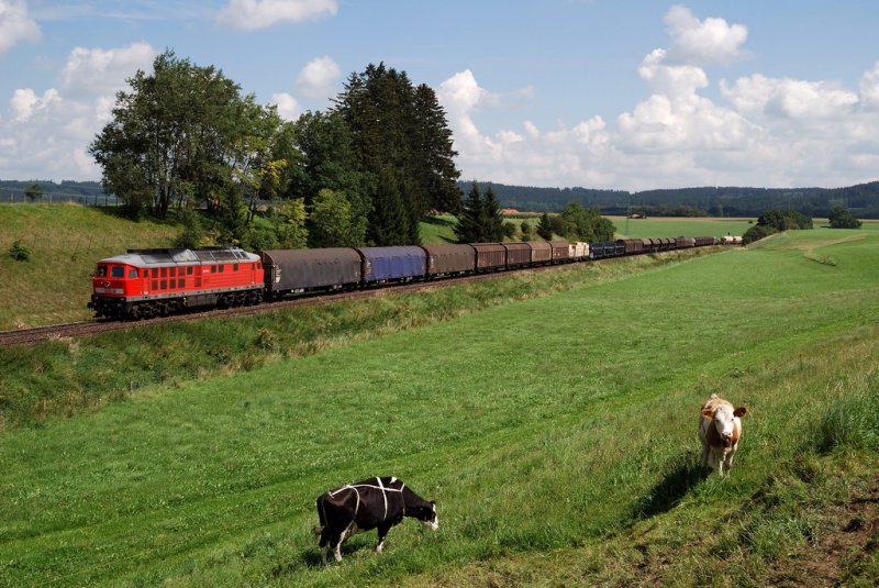 232 682 mit dem Arlbergumleiter CFN 45192 in Grwangs (13.08.2007)