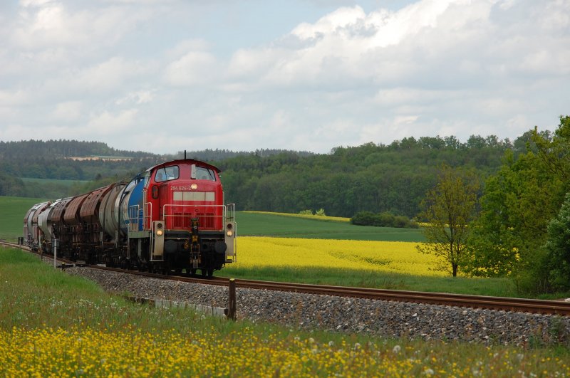 294 624 am 08.05.2009 bei Mimbach (Strecke Amberg-Schnaittenbach)