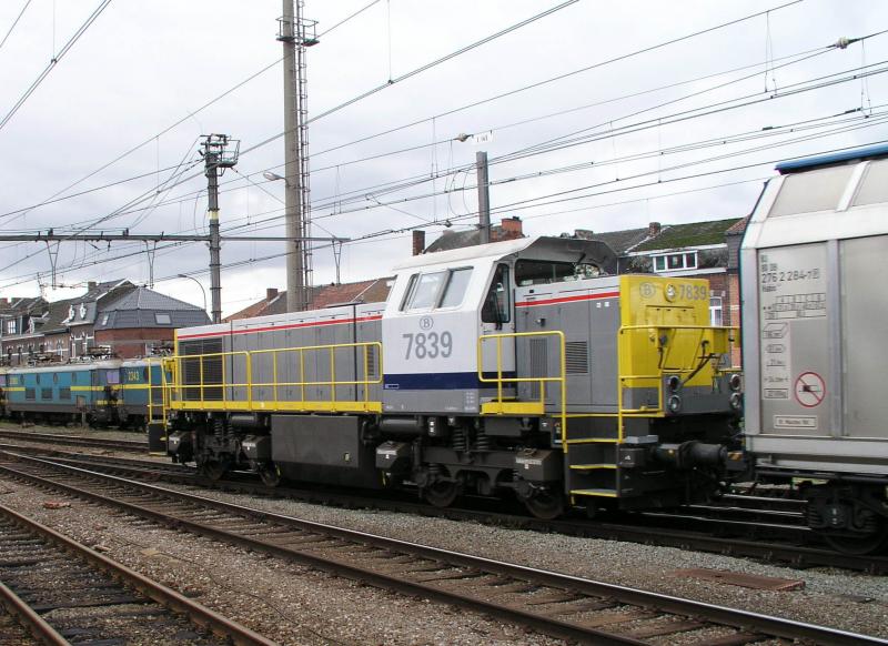 7839 am 7-11-2004 in Hasselt