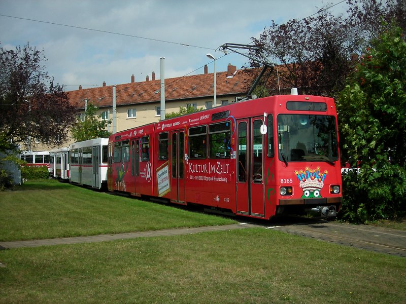 8165 in Braunschweig