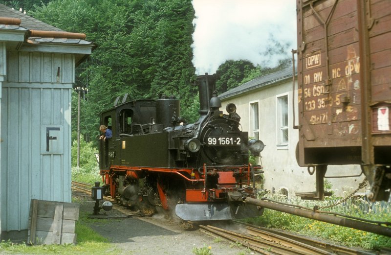 99 1561  Niederschmiedeberg  10.06.78