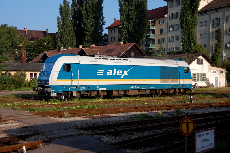  ALEX  223 071 als  Blumenkind . Er lt sich sanft von der Sonne wachkssen... (Lindau, 30.08.08).