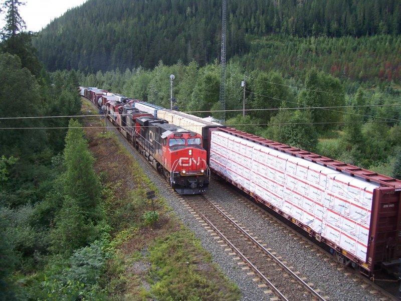 Bergwrts fahrender Gterzug mit drei Loks passiert an der Ausweichstelle am Thompson River, Nhe Blue River/British Columbia wartenden Gegenzug mit einer Zwischenlok am 22.08.2008