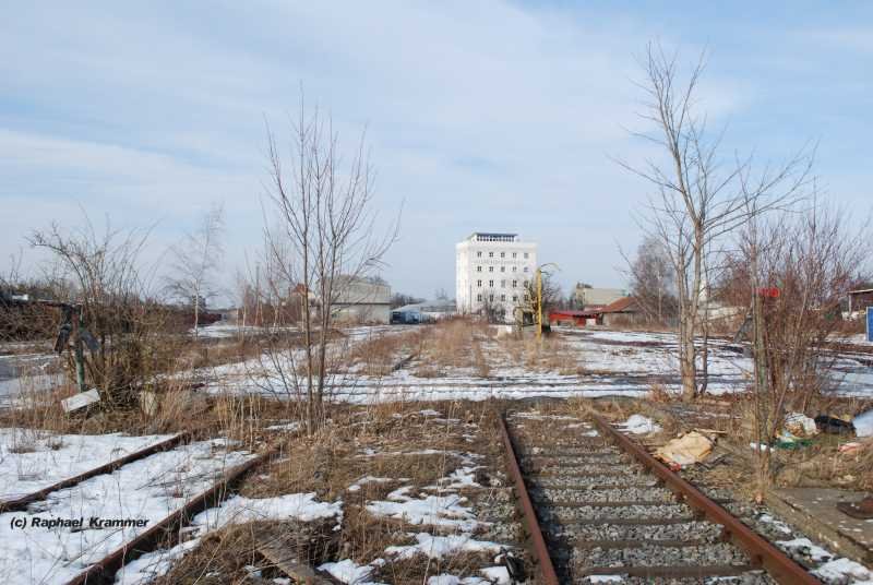 Das aufgegebene Gelnde des Memminger Gterbahnhofes am 01.03.09. Vorbei sind die Zeiten, als hier Gterwagen beladen wurden und Kinder jedes Jahr staunten, wenn der Zirkus Krone seine Elefanten entlud. Irgendwann werden hier wohl Gewerbebauten entstehen. Momentan ist es die Natur, die sich den Bereich mit Macht zurckholt. 