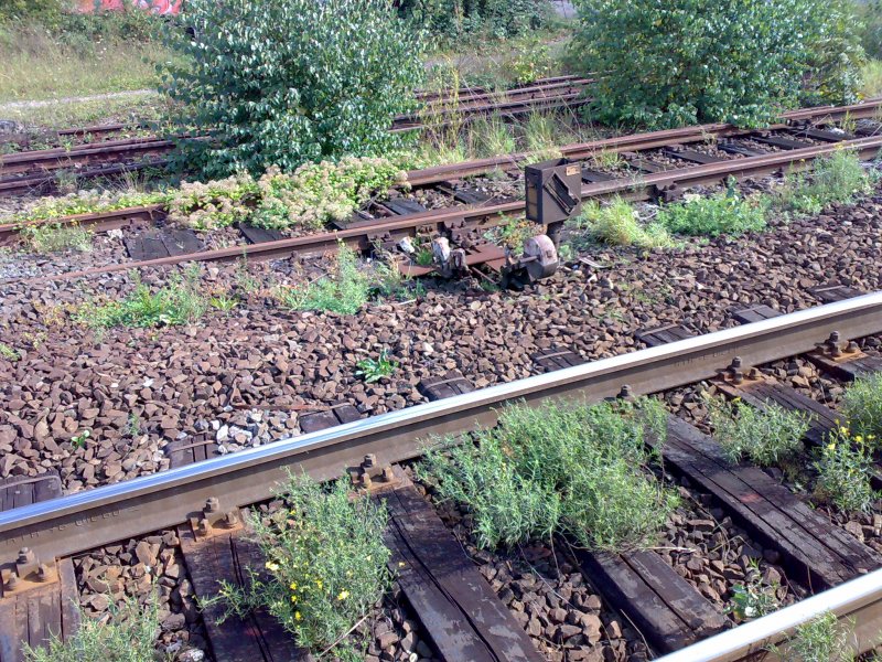 Das ist in Menden bei Bonn