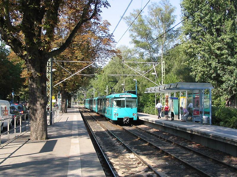 Der Baum blieb stehen -

Oberirdische Haltestelle  Schäfflestraße  an der U7 in Richtung Enkheim. Der Unterstand ist typisch für die neueren Stationen. Ungewöhnlich für eine Stadtbahn sind die Oberleitungsmäste. 

01.09.2005 (M)