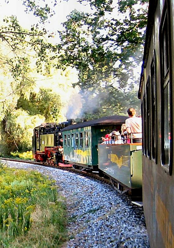 Der Lnitzdackel unterwegs nach Moritzburg, 2005