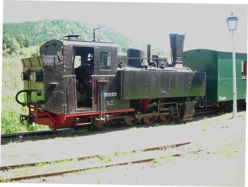 Die 699.101 der Gurktalbahn hat gerade den Bahnhof Pckstein- Zwischenwsser erreicht.