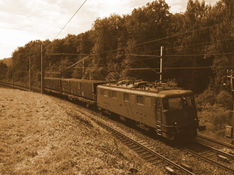 Die Ae 6/6 11501 war am 25.08.2008 mit Abfallcontainern beschftigt. 