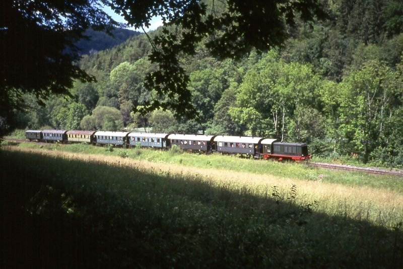 Dieselzug in Richtung Behringersmhle