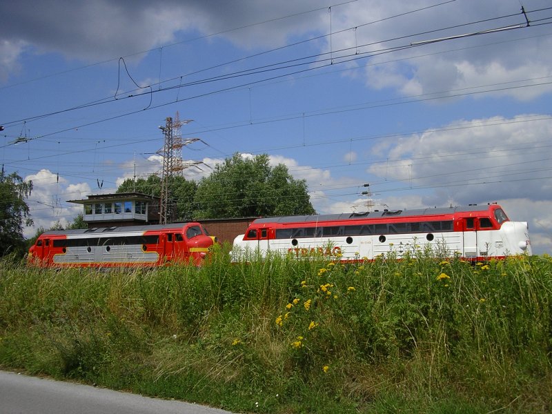 Durch die Blumen.(13.07.2008)