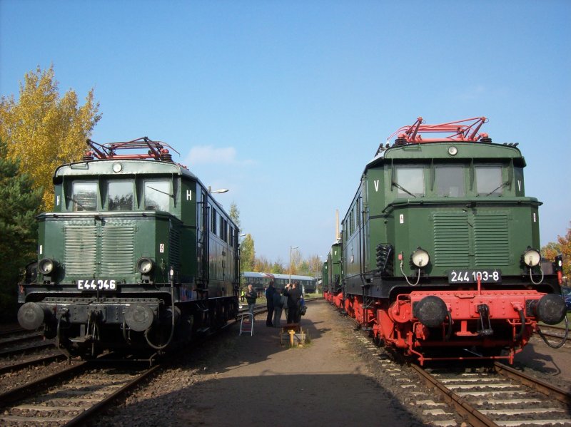 E 44 046 und 244 103-8 im Dampfbahnverein in Leipzig Plagwitz zum  E 44-Treffen  24.10.2009 