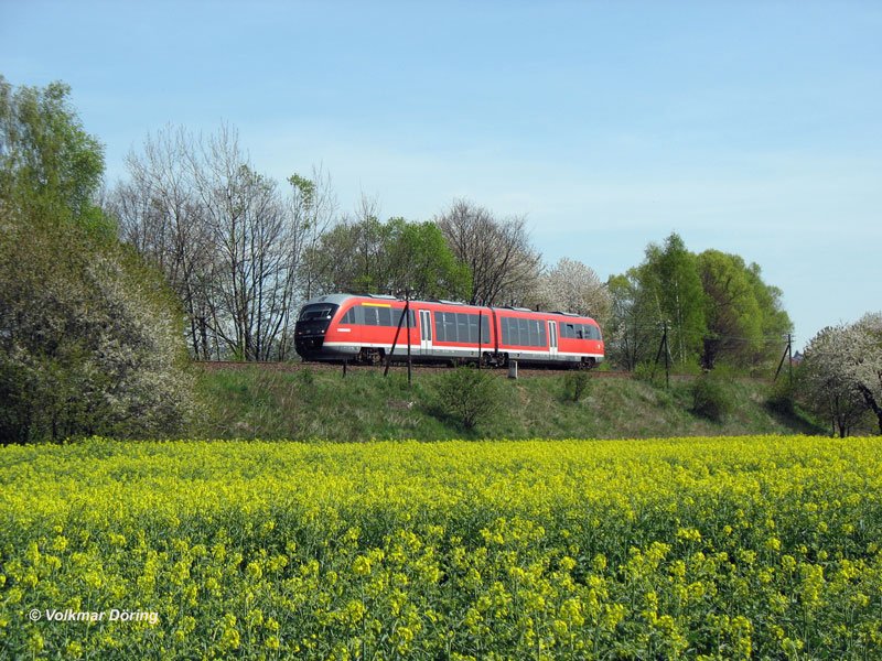 Ein DESIRO als RB 17925 Bad Schandau - Neustadt - Pirna am km 39 kurz vor Lohmen; 19.04.2007
