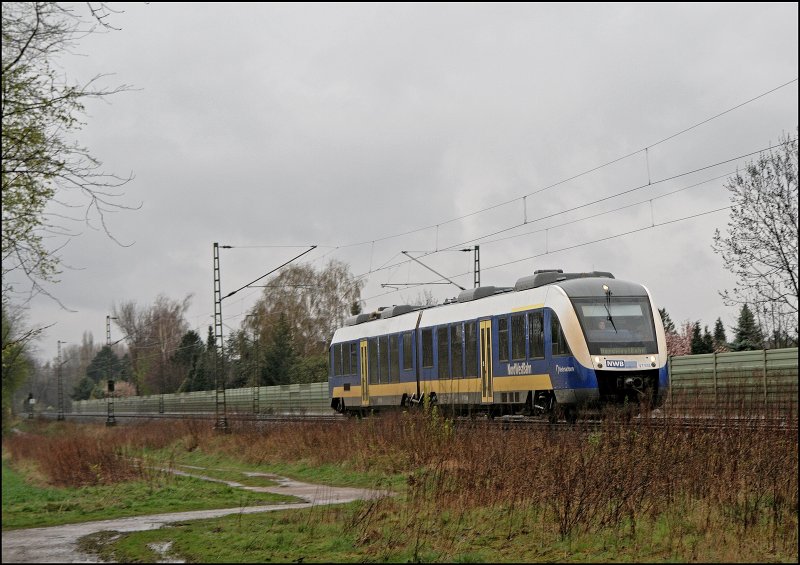 Ein LINT der NordWestBahn fhrt bei Haltern am See Richtung Mnster(Westf). (05.04.2008)
