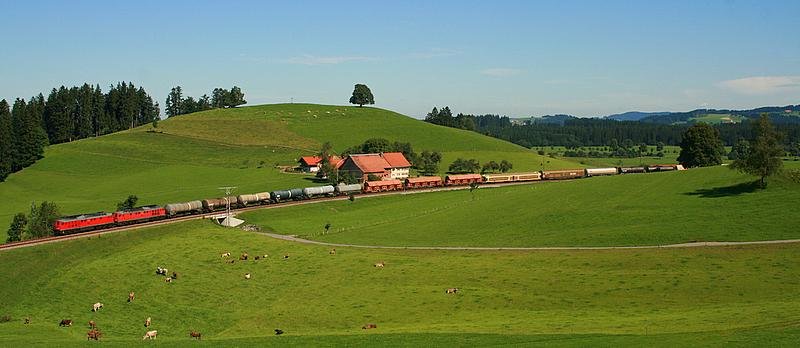 Ein Ludmillaprchen in Heimhofen. 18.08.08