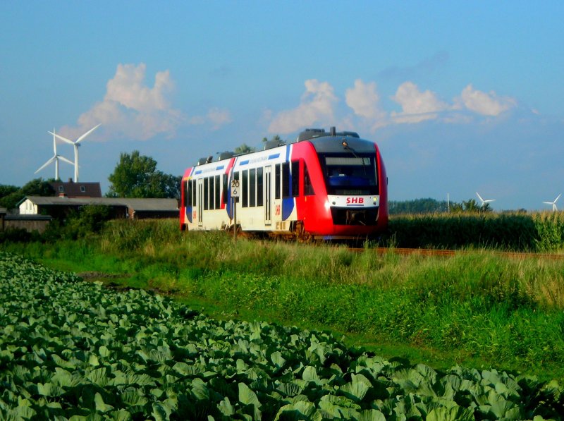 ein Sommerabend in Dithmarschen