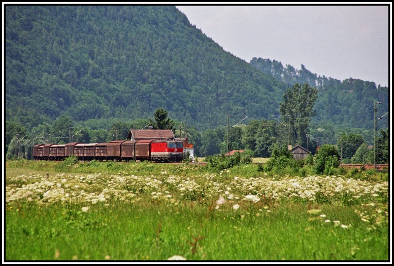 Eine 1144 rollt mit einem kurzen Gterzug Richtung Kufstein. Aufgenommen bei Niederaudorf.