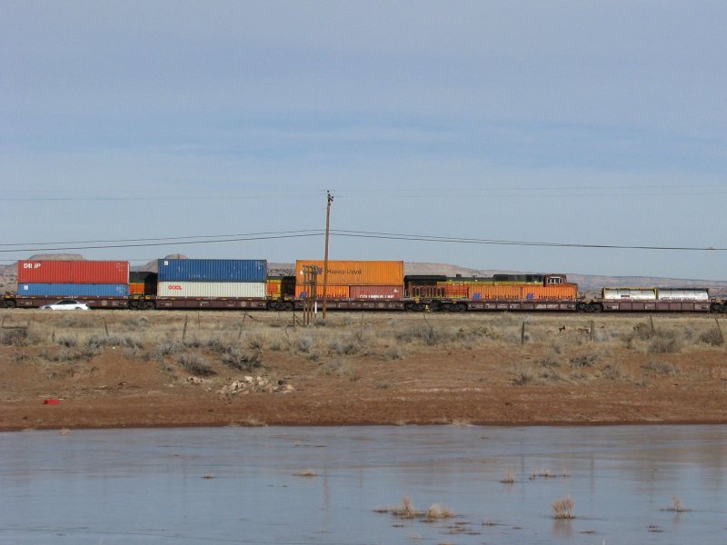 Eine Zugbegnung im US Bundesstaat New Mexico: Im Vordergrund ist ein Containerzug unterwegs, whrend dahinter ein Gterzug mit BNSF Loks fhrt. 3.1.2008.