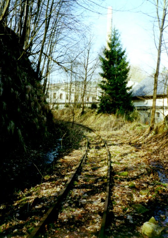 Einige Meter Gleis der Wilischthalbahn sind am 03.04.01 noch vorhanden. einige Meter nach der Kuve liegt der Anschlu Papierfabrik Wilischthal, der bis Augus 1992 noch bedient wurde.