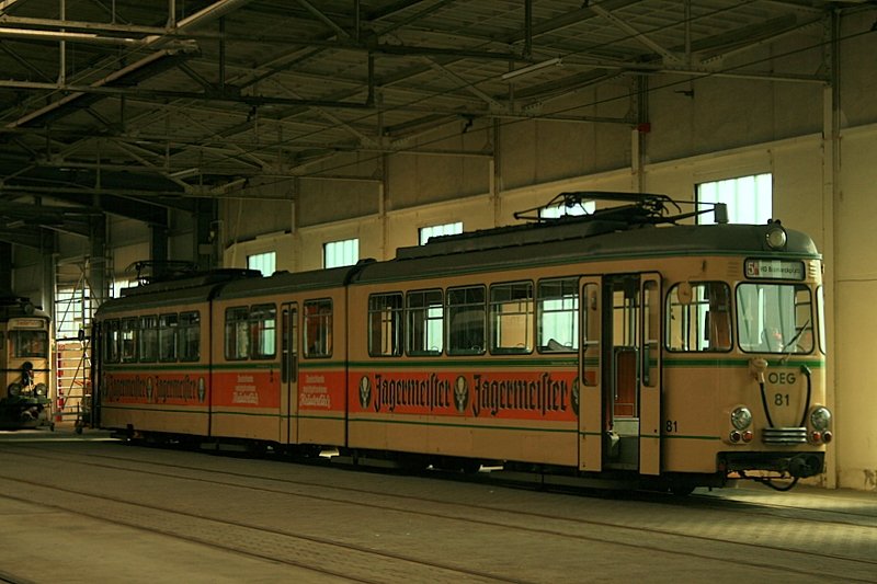 Einzelgnger: Triebwagen 81. Er hatte nur einen Halbbruder - den vom Verrein lngst verschrotteten 80. 80 und 81 unterschieden sich jedoch in Sachen Lnge, Technik auf Aufbau grundlegend.