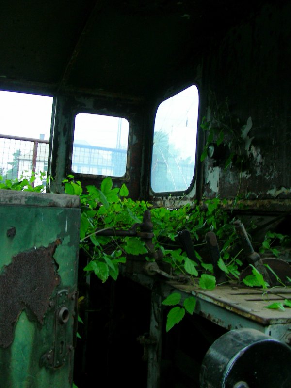 Eisenbahn und Vegetation