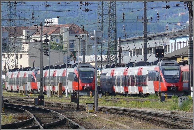 Ententreffen in Graz Hbf. (15.05.2008)