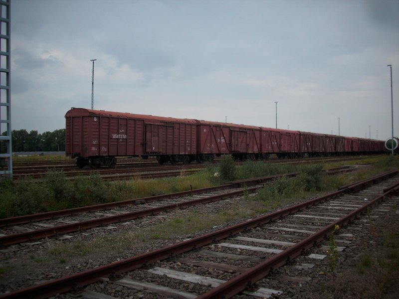 Gedeckte Russische Gterwagen am 11.August 2009 in Mukran.
Aufgenommen von der Strae.