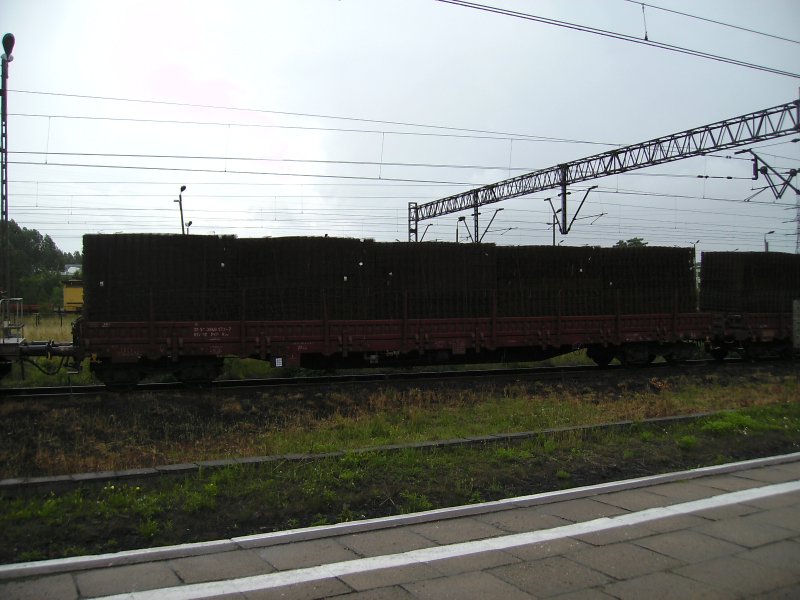 Gterwagen im Bahnhof Tarnowskie Gory.