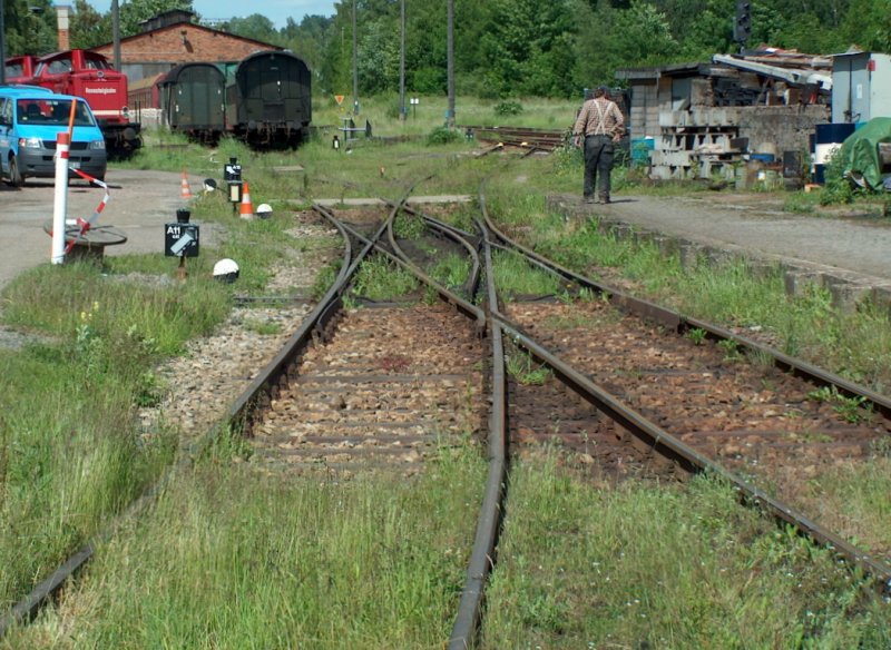 Kreuzweiche im Bahnhof Ilmenau; 09.06.2009