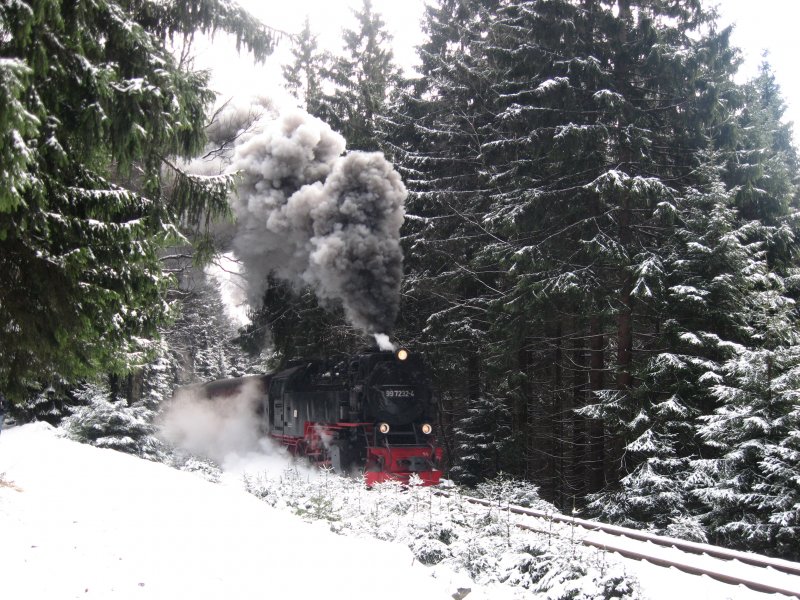 Krur hinter dem bahnhof Schierke erbot sich dieser Traumhafte anblick. Bahnparallelweg, 2.2.2008