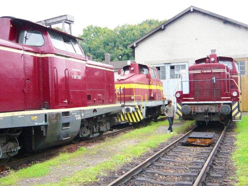 Links: V100 1365 in alter Farbgebung;Rechts:V60 860 auch in alter Farbgebung;Hinten:350 001 mit Logo der Sdostbayernbahn.Leider ist mein kleiner Cousin auf dem Bild.