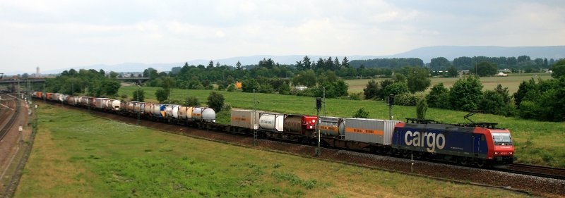Mit dem DGS 40243 ist 482 021 am 19.05.08 von Kln-Nippes nach Gallarate unterwegs. Der Zug hat vor kurzem den Haltepunkt von Neuluheim durchfahren.
