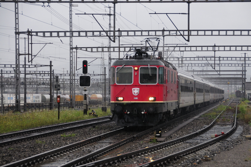 Mit goldener Bauch binde : Re 4/4 II 11181 trgt stolzer Brust das Schweizer-Kreuz durch den Alpenstaat Richtung Basel. (bei Muttenz, 10.08.09).