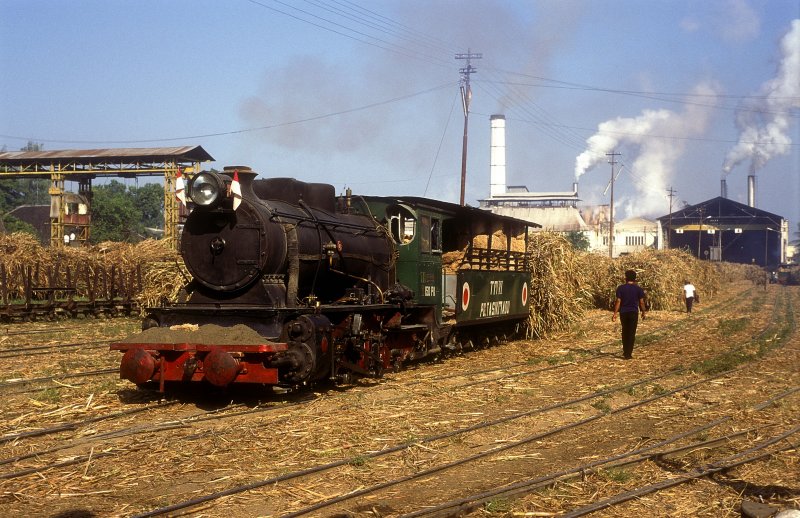 Nr.6  Tasik Madu  18.08.95