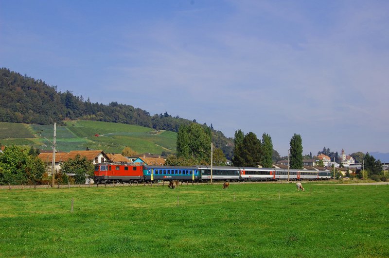 Re 4/4 II am 03.10.2009 mit REX nach Chur bei Heerbrugg (Bild wurde digital Optimiert)