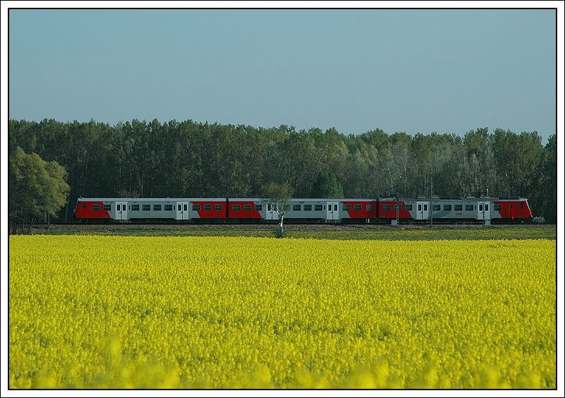 S 40 von Wien Franz Josefs Bahnhof nach Herzogenburg kurz nach der Ausfahrt aus Muckendorf-Wipfing am 16.4.2007