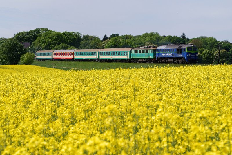 ST44 - 1215 (PKP Cargo) und EP07 - 089 mit Umleiter I-85100 bei Suliszewo (15.05.2009)