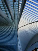 Lige-Guillemins - das Dach des Neuen Bahnhofs entworfen vom spanischen Star-Architekten Santiago Calatrava am 8.12.2008 fast ein Jahr vor der offiziellen Erffnung.