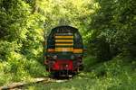 Atlanta 7309 auf dem Weg nach Pétange, hier zwischen Fuusbësch und Pétange.(4. Juni 2023)