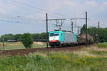 Cobra-Lok 2831 mit einem gemischten Güterzug im Gleisbogen bei Ekeren. Schön erkennt man das Ende des Zuges noch auf dem geraden Stück eingangs des Bogens. Aufnahme vom 30/07/2010.