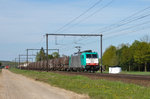 Mit einem Kesselwagenzug am Haken rollt Cobra-Lok 2826 am 06/05/2016 in Richtung Tongeren.