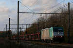 Im Spätnachmittaglicht des 22/11/2009 zog Cobra-Lok 2841 (186 233) einen leeren Autozug über die Montzenroute Richtung Aachen-West, hier aufgenommen kurz vor dem Remersdaeler Viadukt.