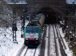 Die Cobra 2834 kommt aus dem Gemmenicher-Tunnel raus einem Kesselzug aus Antwerpen-Kanaaldok(B) nach Millingen-Solvay(D) und fährt nach Aachen-West und rollt die Gemmenicher-Rampe herunter nach