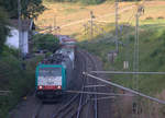 Die Cobra 2831 kommt die Gemmenicher-Rampe hochgefahren aus Aachen-West mit einem Containerzug aus Verona(I) nach Antwerpen-Combinant(B) und fährt gleich in den Gemmenicher-Tunnel hinein und