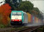 Vorbei an herbstlich bunten Bumen meistert die Cobra 186 218 mit Vollgas und viel Sand einem Containerzug im Schlepp die Steigung am Gemmenicher Weg in Aachen Richtung Belgien.