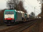 Die Cobra 186 221 schleppt hier einen komplett mit Italienischen LKW Sattelaufliegern fr den Glasstransport beladenen Zug die Rampe zum Gemmenicher Tunnel hoch.